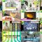 250808 DayDay. – ex-NMB48 Shibuya Nagisa – HD.mp4