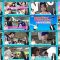250809 Hatena no Ten – ex-HKT48 Murashige Anna – FHD.mp4