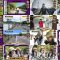 250810 Nogizaka Under Construction – FHD.mp4