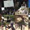 250810 Shin YNN NMB48 CHANNEL – Nozokana no Yume Kanachaou 1 – FHD.mp4