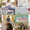 250813 Chiba Asa Live Morning Compass 0645 – ex-AKB48 Yoshikawa Nanase – HD.mp4