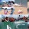 250824 Shin YNN NMB48 CHANNEL – Nozokana no Yume Kanachaou 3 – FHD.mp4