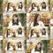250827 Nekojita SHOWROOM – Nogizaka46 – FHD.mp4
