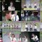250828 Bachibachi NMB48 – FHD.mp4