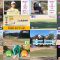 250830 Golf Cinderella 22 – ex-SKE48 Yamauchi Suzuran – HD.mp4
