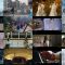 250903 M-ON! Nogizaka46 MV Selects – FHD.mp4