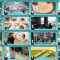 250906 Hatena no Ten – ex-HKT48 Murashige Anna – FHD.mp4