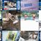250912 NHK Koukoukoza Information I – Hinatazaka46 Shogenji Yoko – FHD.mp4