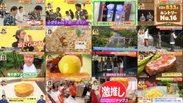 250913 Doyou wa Nani Suru! – ex-AKB48 Kashiwagi Yuki – FHD.mp4