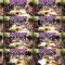 250913 Tokai Radio [SKE48 1 + 1 + 1 wa 3 Janaiyo!] – HD.mp4