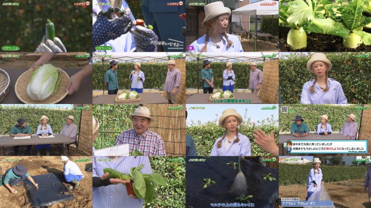 250914 Syumi no Engei Yasai no Jikan – ex-AKB48 Oya Shizuka – FHD.mp4