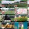 250917 Ningen Kenkyuujo – ex-HKT48 Murashige Anna – FHD.mp4