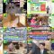 250919 DayDay. – ex-NMB48 Shibuya Nagisa – FHD.mp4