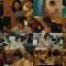 250922 Itsuka, Mujuryoku no Chu De 09 – ex-Nogizaka46 Ito Marika – FHD.mp4