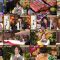 250925 Guruguru Ninety-Nine – ex-Nogizaka46 Shiraishi Mai & ex-AKB48 Noro Kayo – FHD.mp4