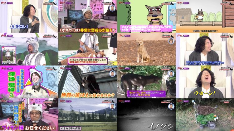 250927 Villain no Iibun – ex-AKB48 Kashiwagi Yuki – FHD.mp4