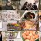 250921 Zakkuri Tabi Gourmet 7 – ex-HKT48 Tanaka Miku – FHD.mp4