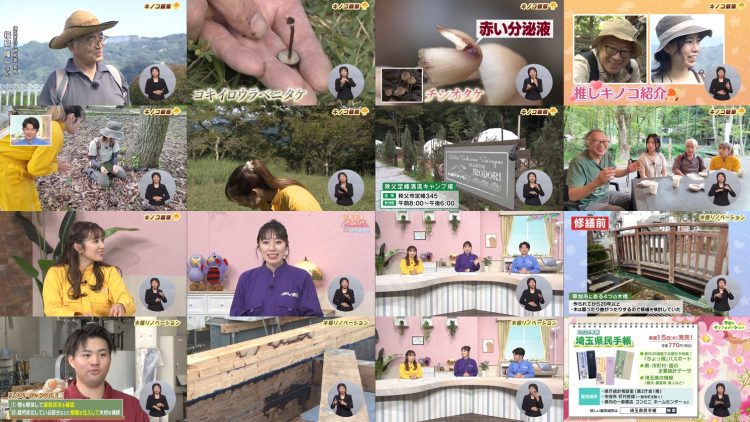 251011 Ima Doki! Saitama – ex-AKB48 Matsui Sakiko – FHD.mp4
