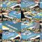 250924 Nissin Shokuhin Presents Mahjong All-Star BS10 Championship – ex-Nogizaka46 Nakada Kana – FHD.mp4