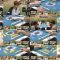 251001 Nissin Shokuhin Presents Mahjong All-Star BS10 Championship – ex-Nogizaka46 Nakada Kana – FHD.mp4