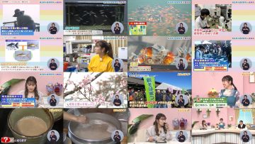251101 Ima Doki! Saitama – ex-AKB48 Matsui Sakiko – FHD.mp4