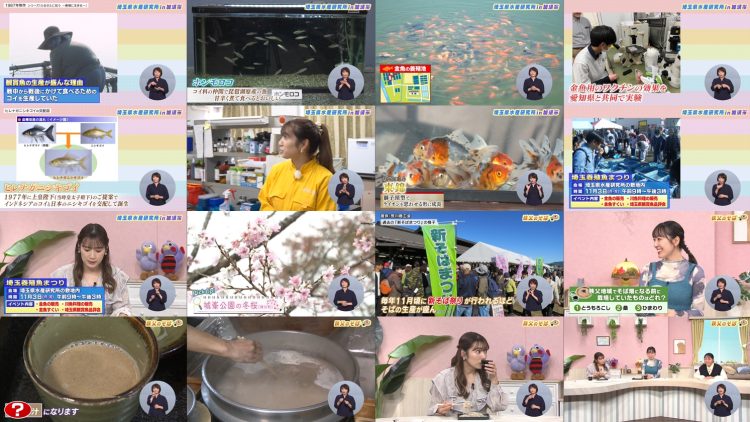 251101 Ima Doki! Saitama – ex-AKB48 Matsui Sakiko – FHD.mp4