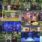 251108 Venue 101 – ex-Nogizaka46 Ikuta Erika – FHD.mp4