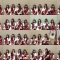 251111 HKT48 Special Delivery Room – SD.mp4
