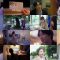 251116 Dekitemo, Dekinakutemo 06 – ex-Nogizaka46 Higuchi Hina – FHD.mp4