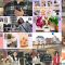 251206 Inu Jikan – ex-AKB48 Shimazaki Haruka – FHD.mp4