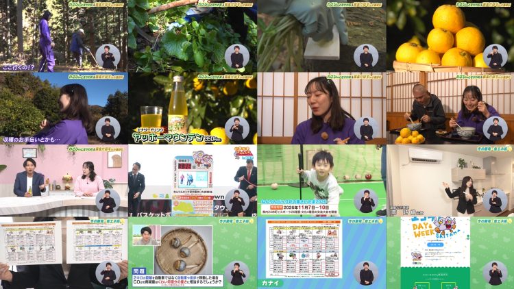 251213 Ima Doki! Saitama – ex-AKB48 Matsui Sakiko – FHD.mp4