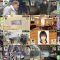 251220 Shutoken Ichi Oshi ! – ex-AKB48 Takahashi Minami – FHD.mp4