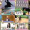 251225 Kaiun! Nandemo Kanteidan – ex-Sakurazaka46 Sugai Yuuka & ex-AKB48 Yoshikawa Nanase – FHD.mp4