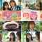 260108 Wellmi to Nessko. – ex-Hinatazaka46 Kageyama Yuuka – FHD.mp4