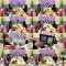 260110 Tokai Radio [SKE48 1 + 1 + 1 wa 3 Janaiyo!] – HD.mp4