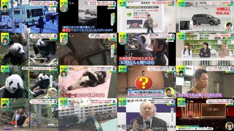 260123 DayDay. – ex-NMB48 Shibuya Nagisa – FHD.mp4