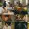 260129 Thursday Drama 23 Game Change 04 – ex-Hinatazaka46 Nibu Akari – FHD.mp4