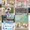 260130 Chiba Asa Live Morning Compass 0645 – ex-AKB48 Yoshikawa Nanase – FHD.mp4