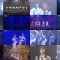 260118 NMB48 Theater Performance 1400 – FHD.mp4