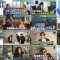260130 Cunning Takeyama no Ichiban Kenkyuujo 117 – ex-Nogizaka46 Nakada Kana, Ito Karin – FHD.mp4