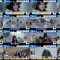 260204 Hinatazaka46’s TV News – THE TIME – FHD.mp4