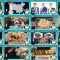 260214 Hatena no Ten – ex-HKT48 Murashige Anna – FHD.mp4