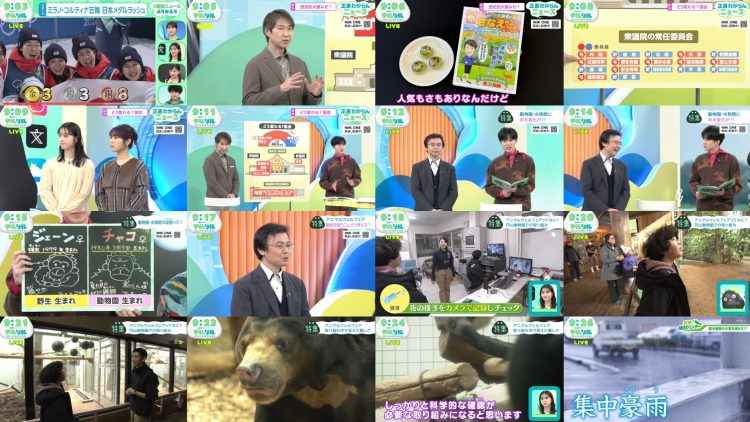 260214 Shuukan Jouhou Chaaji! – ex-NMB48 Shibuya Nagisa – FHD.mp4