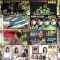 260215 Nettou! M League – ex-SKE48 Suda Akari – FHD.mp4