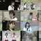 260226 Bachibachi NMB48 – FHD.mp4