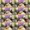 260314 Tokai Radio [SKE48 1 + 1 + 1 wa 3 Janaiyo!] – FHD.mp4