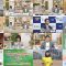 260325 Chiba Asa Live Morning Compass 0645 – ex-AKB48 Yoshikawa Nanase – FHD.mp4