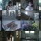 260327 Rojiura Hotel EP2 [Shuugaku Ryokou no Hanashi] Part2 – Sakurazaka46 – FHD.mp4
